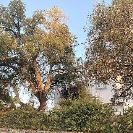 Вилла Fonte Fria House *