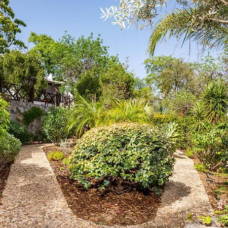 Villa Fonte Fria House *
