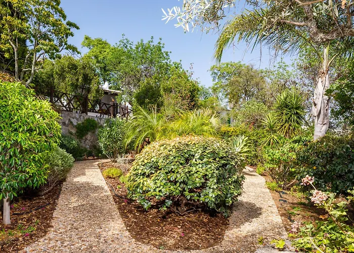 Villa Fonte Fria House *
